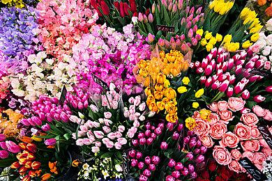 《超级房车赛：传奇》PC配置公开 推荐GTX 1080